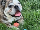 IMG_1577