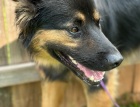IMG_4949